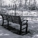 Waiting (im)Patiently for Spring by farmreporter