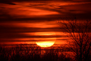 4th Mar 2024 - Kansas Sunset 3-4-24