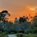 Sunset, Hampton Park by congaree