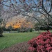Sunset and spring color, Hampton Park, Charleston, SC by congaree