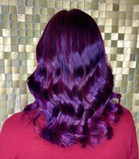 15th Mar 2024 - Good hair day - purple