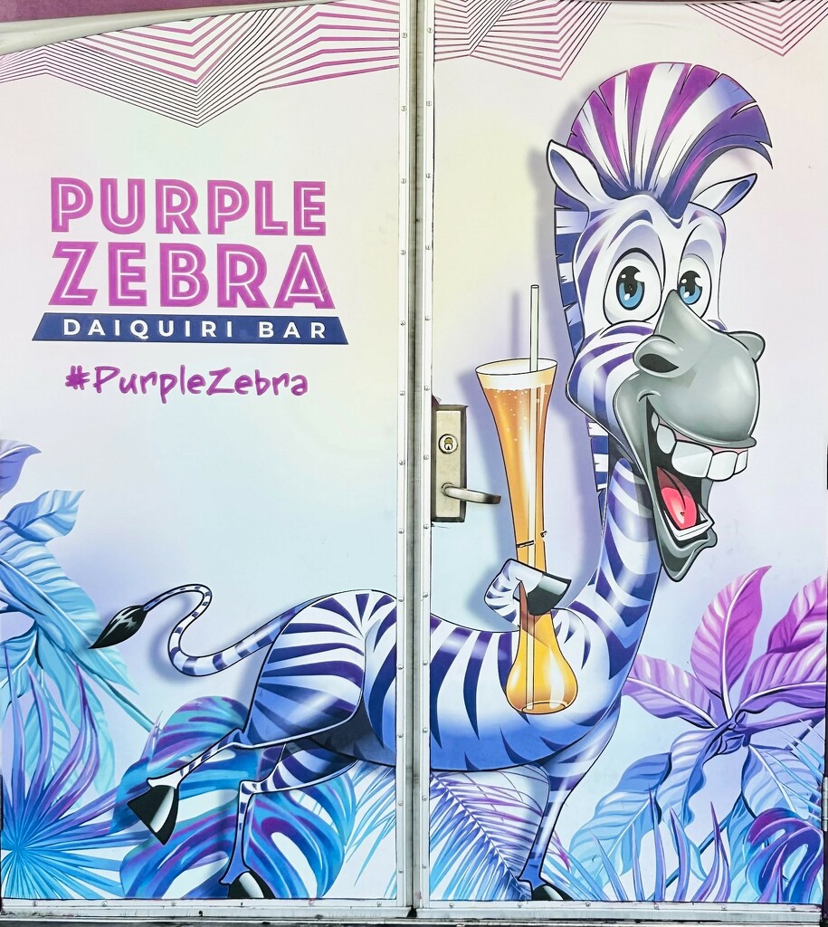 Purple Zebra by robfalbo