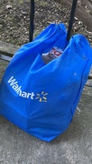 15th Mar 2024 - Blue Shopping Bag