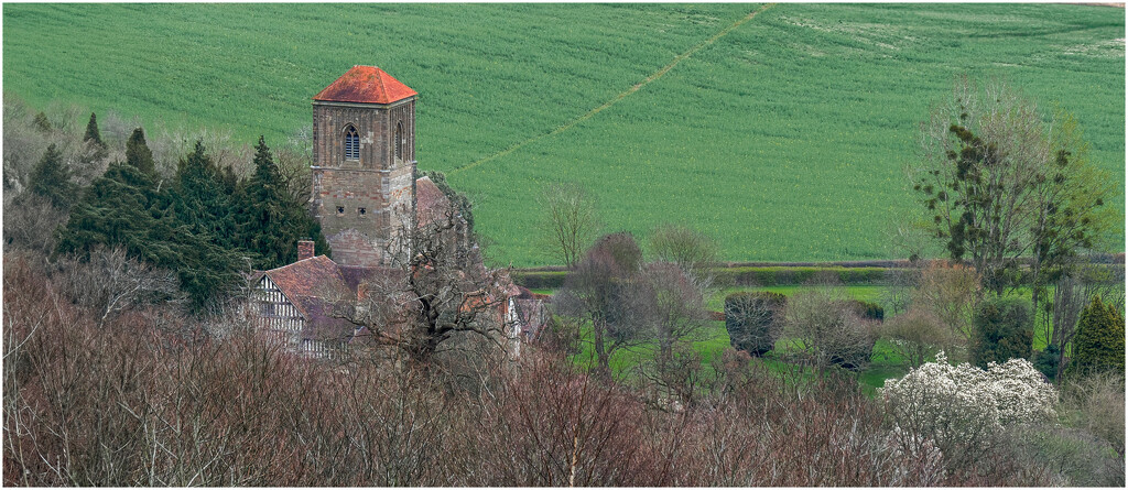 Little Malvern Priory  by clifford