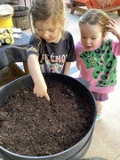 13th Mar 2024 - Wormery at day care 
