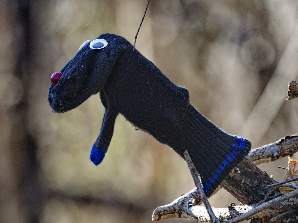 sock puppet by rminer