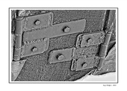 13th Mar 2024 - Hinges in BW