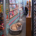 Flat Out Shop Assistant by helenw2