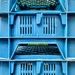 Vegetable crates  by boxplayer