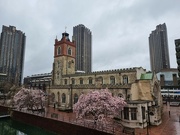 12th Mar 2024 - Towers and Blossom 