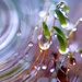 Droplets, Moss, Swirl f23