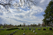 14th Mar 2024 - Calvary Cemetery