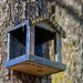 Open plan bird box :-) by helstor365