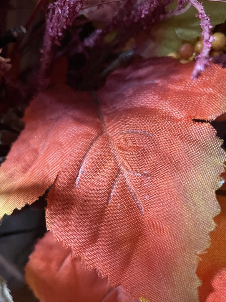 Orange leaf by homeschoolmom