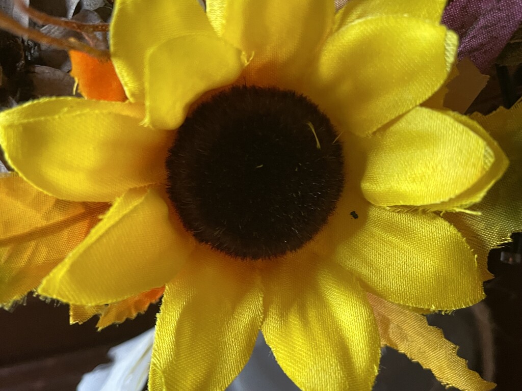 Yellow flower by homeschoolmom