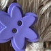 Purple button  by homeschoolmom
