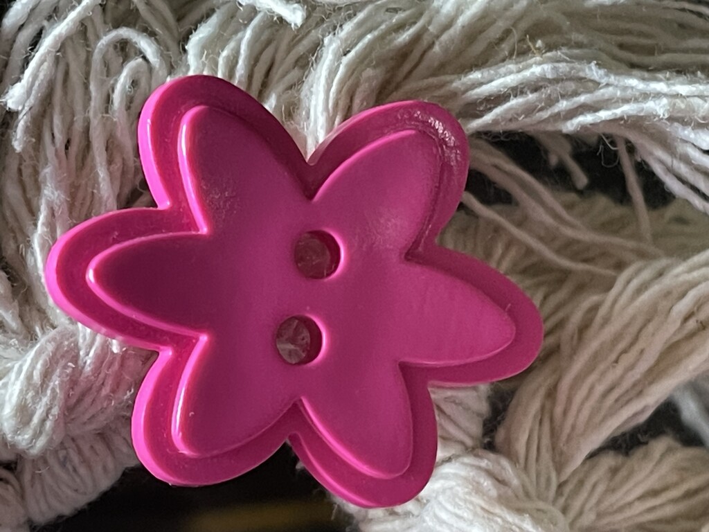 Pink button  by homeschoolmom