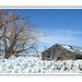 Snowy Winter Barn by kbird61
