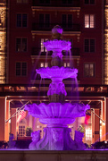 16th Mar 2024 - Purple fountain