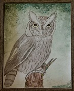 16th Mar 2024 - Day 76: Screech Owl