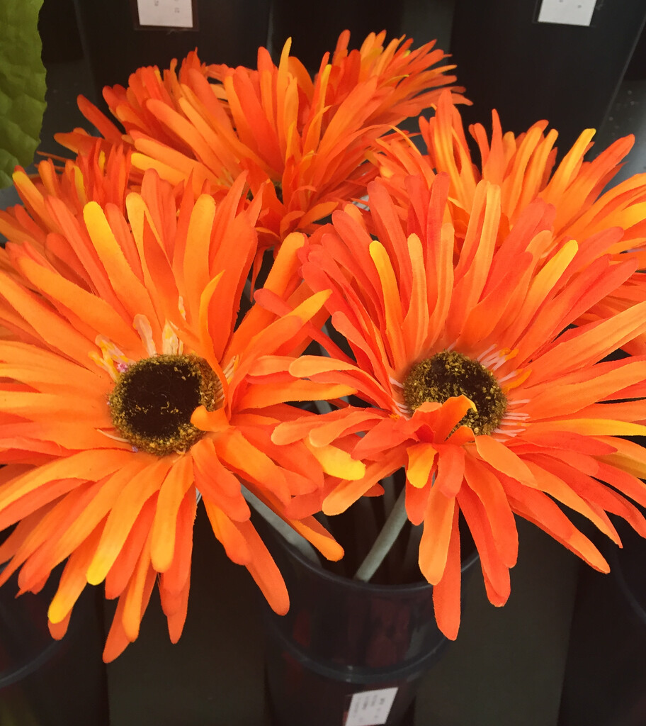 Orange silk flowers by kchuk
