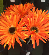 12th Mar 2024 - Orange silk flowers