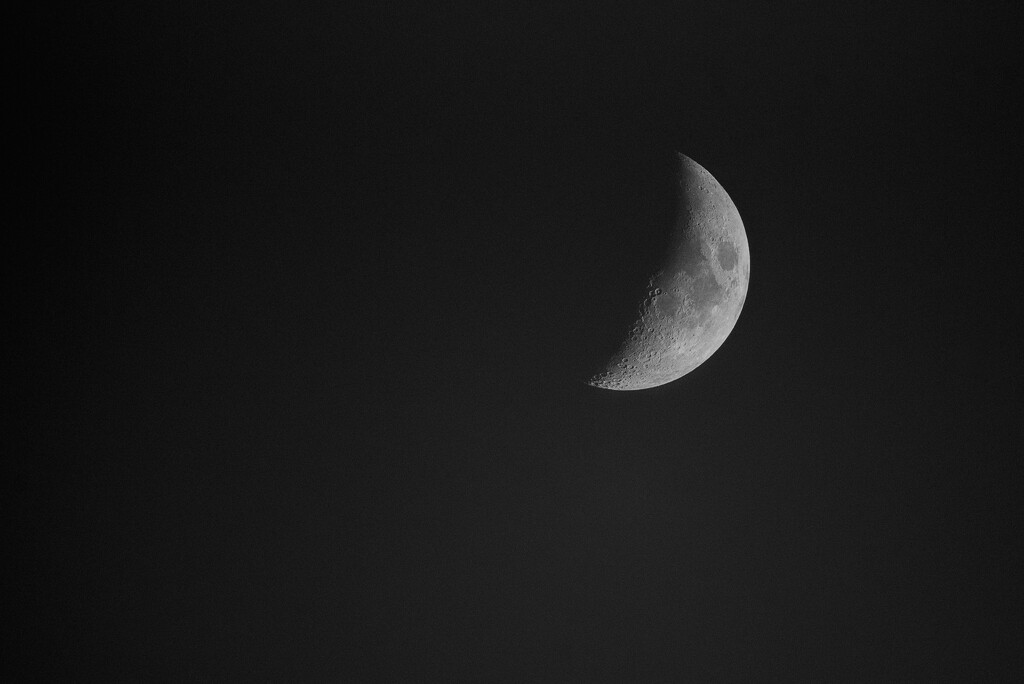 Good Night Moon by mistyhammond