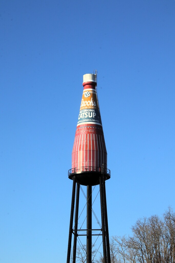 Worlds Tallest Catsup Bottle  by randy23