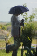 16th Mar 2024 - Umbrella Hat Reflection 