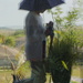 Umbrella Hat Reflection  by photohoot