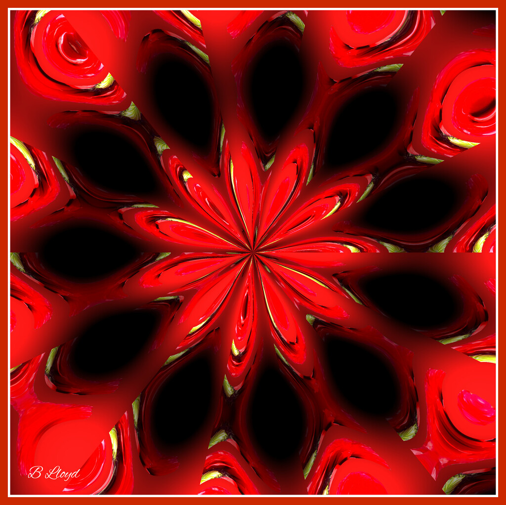 Red Pattern. by beryl
