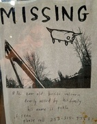 15th Mar 2024 - Missing burrito, presumed eaten.