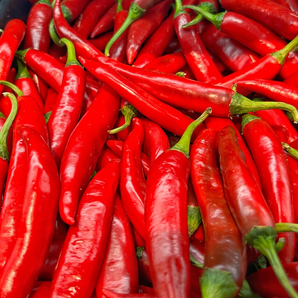 Chillies For Sale by merrelyn