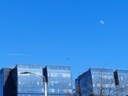 11th Mar 2024 - Moon-day in the city