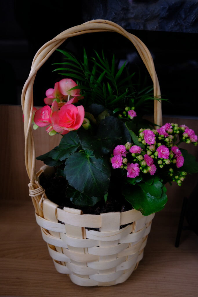 Mothers day basket by happyteg