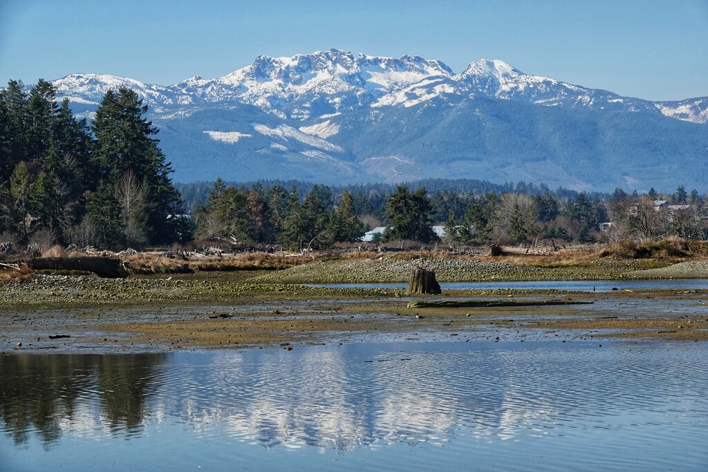 Englishman River Estuary with Mt. Arrowsmith. Vancouver Island. by gladc