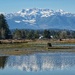 Englishman River Estuary with Mt. Arrowsmith. Vancouver Island. by gladc