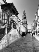 18th Mar 2024 - Mosque-Cathedral of Cordoba #3