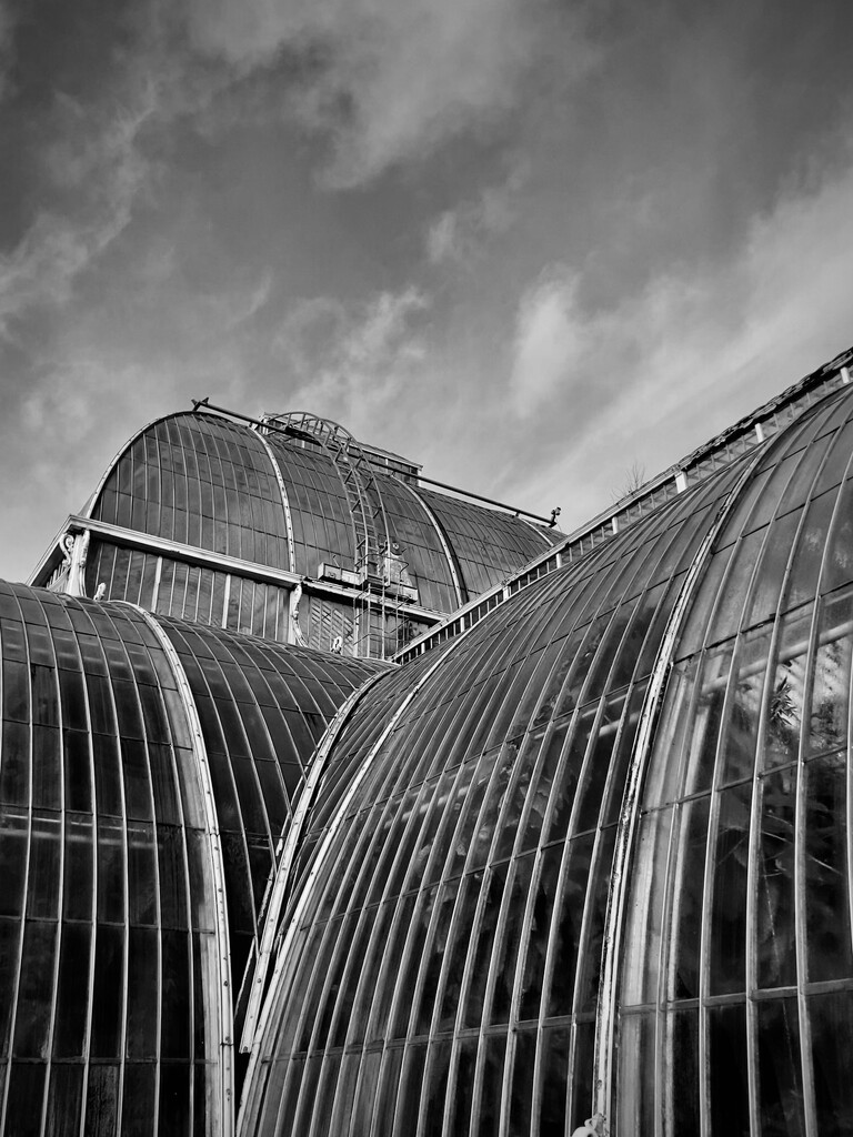 Palm House Kew Gardens  by denidouble