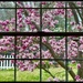 The Windows of Your Life by gardenfolk