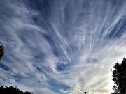 19th Mar 2024 - Streaky Clouds ~