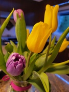 18th Mar 2024 - Easter Flowers