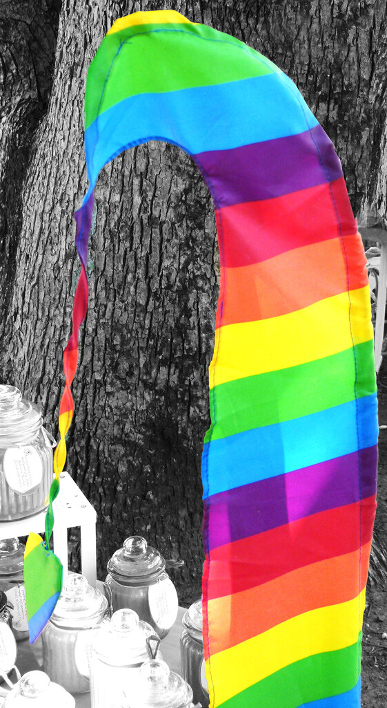 Rainbow Teardrop Banner by onewing