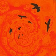 19th Mar 2024 - Orange swirl