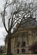 18th Mar 2024 - Petit Palais