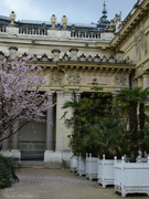 19th Mar 2024 - Petit Palais' garden