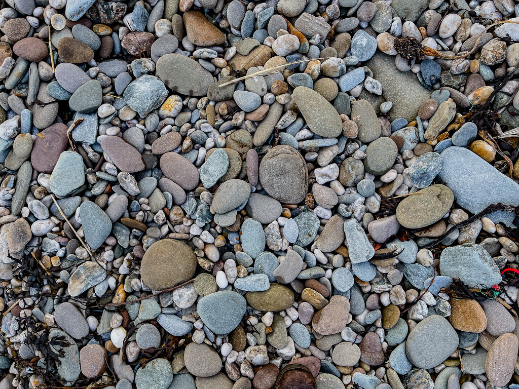 Stoney Beach by lifeat60degrees