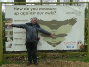 19th Mar 2024 - He's Larger than Most Owls!