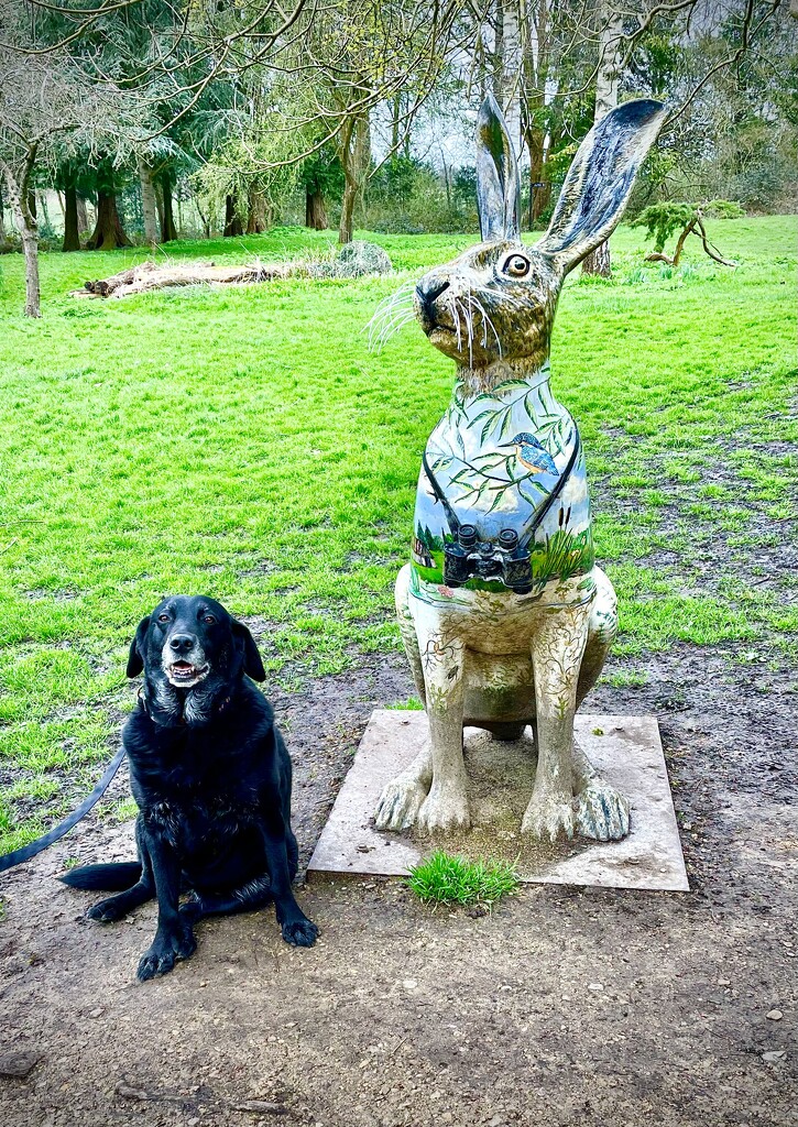 A tortoise disguised as a dog, perhaps? by nigelrogers