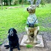 A tortoise disguised as a dog, perhaps? by nigelrogers